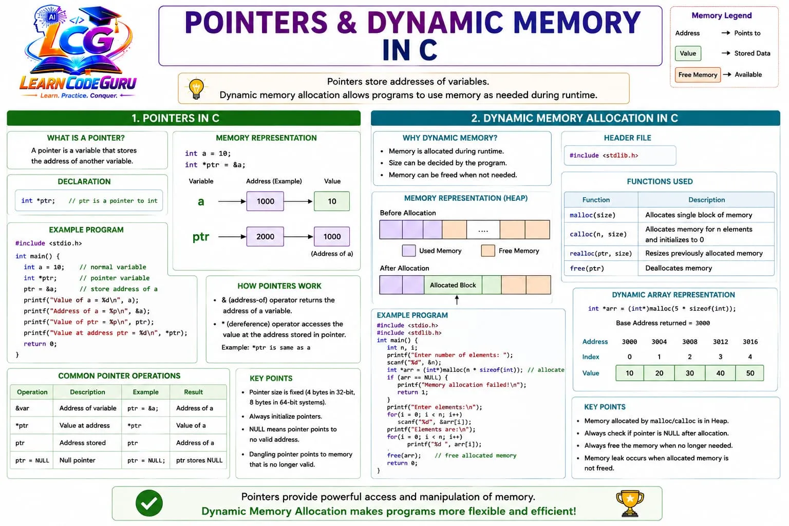 Dynamic memory in C: a pointer variable on the stack holding the address of a block allocated on the heap by malloc or calloc, which is resized with realloc and released with free.